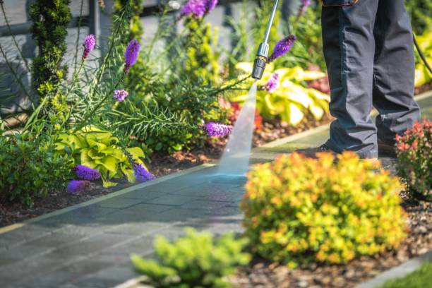 Best Pool Deck Cleaning  in Inglewood, CA